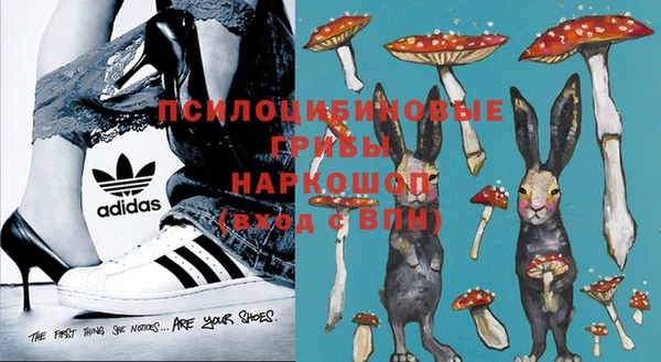 сатива Видное