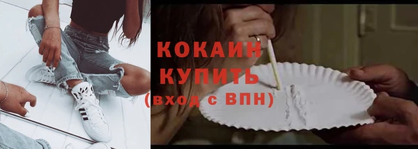 тгк Новозыбков