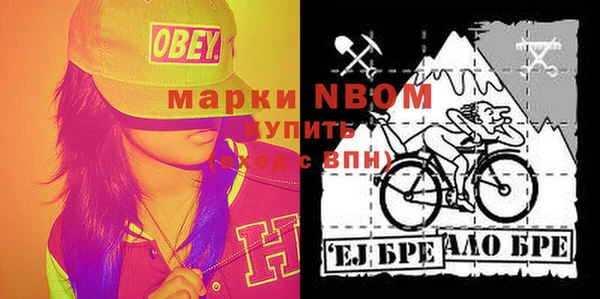 тгк Новозыбков